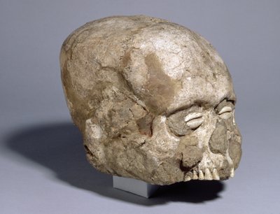 Teschio con occhi di conchiglia di ciprea, Gerico da Prehistoric